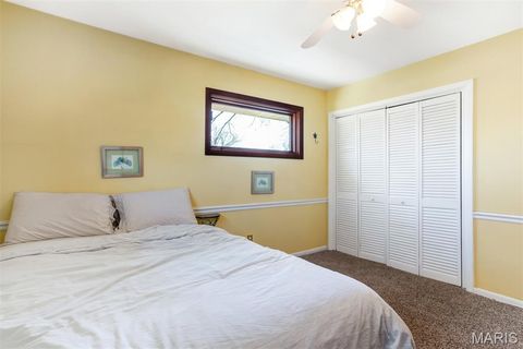 Tiny photo for 1321 Marbendale Court, Kirkwood, MO 63122 (MLS # 26002604)