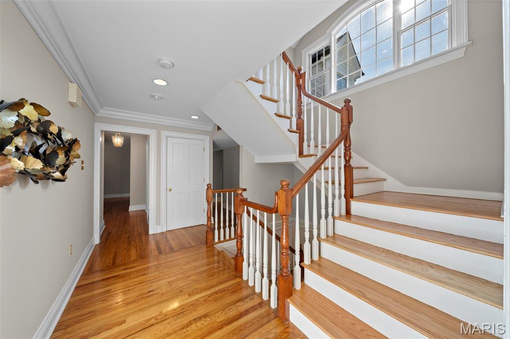 Thornhill Estates 7 - Residential