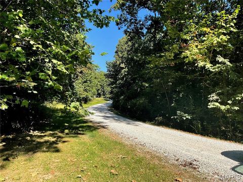 Tiny photo for 25 Turkey Run Drive, Hawk Point, MO 63349 (MLS # 25058921)