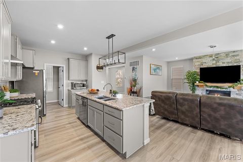 Tiny photo for 207 Talbot Way, Wentzville, MO 63385 (MLS # 26041381)