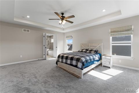Tiny photo for 207 Talbot Way, Wentzville, MO 63385 (MLS # 26041381)