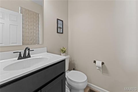 Tiny photo for 207 Talbot Way, Wentzville, MO 63385 (MLS # 26041381)