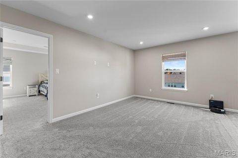 Tiny photo for 207 Talbot Way, Wentzville, MO 63385 (MLS # 26041381)