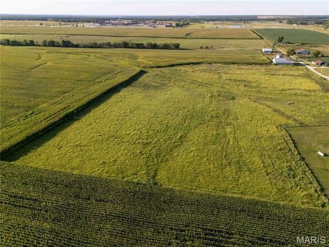 Tiny photo for 14075 Pike 45, Bowling Green, MO 63334 (MLS # 25059625)