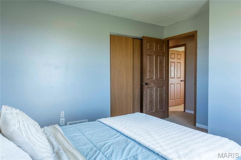 Tiny photo for 14075 Pike 45, Bowling Green, MO 63334 (MLS # 25059625)