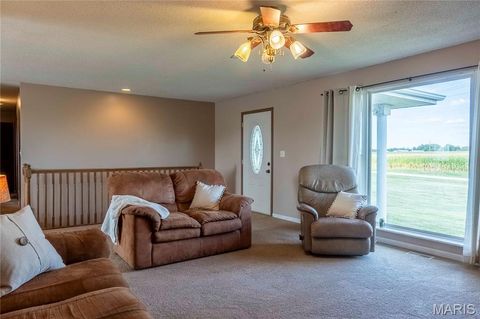 Tiny photo for 14075 Pike 45, Bowling Green, MO 63334 (MLS # 25059625)