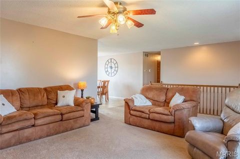 Tiny photo for 14075 Pike 45, Bowling Green, MO 63334 (MLS # 25059625)