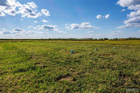 Tiny photo for 14075 Pike 45, Bowling Green, MO 63334 (MLS # 25059625)