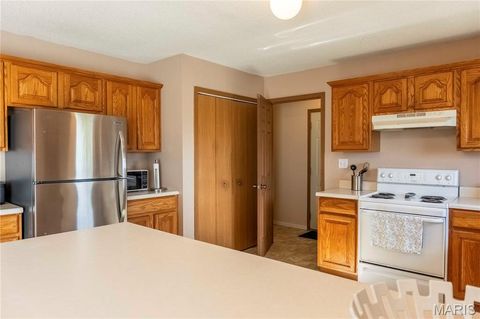 Tiny photo for 14075 Pike 45, Bowling Green, MO 63334 (MLS # 25059625)