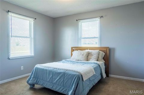 Tiny photo for 14075 Pike 45, Bowling Green, MO 63334 (MLS # 25059625)