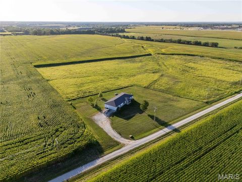 Tiny photo for 14075 Pike 45, Bowling Green, MO 63334 (MLS # 25059625)