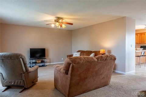 Tiny photo for 14075 Pike 45, Bowling Green, MO 63334 (MLS # 25059625)