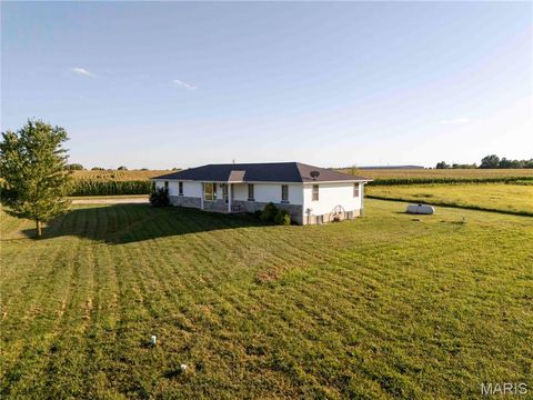Tiny photo for 14075 Pike 45, Bowling Green, MO 63334 (MLS # 25059625)