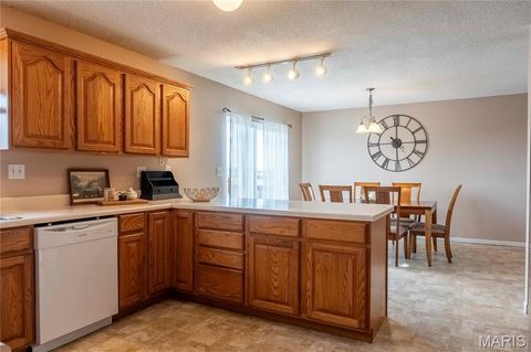 Tiny photo for 14075 Pike 45, Bowling Green, MO 63334 (MLS # 25059625)