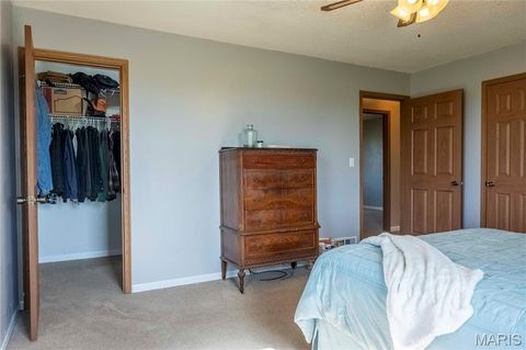 Tiny photo for 14075 Pike 45, Bowling Green, MO 63334 (MLS # 25059625)