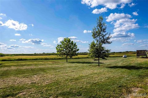 Tiny photo for 14075 Pike 45, Bowling Green, MO 63334 (MLS # 25059625)