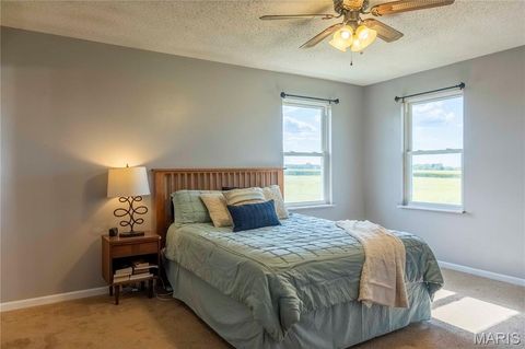 Tiny photo for 14075 Pike 45, Bowling Green, MO 63334 (MLS # 25059625)