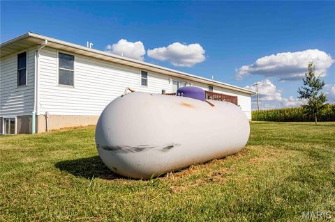 Tiny photo for 14075 Pike 45, Bowling Green, MO 63334 (MLS # 25059625)