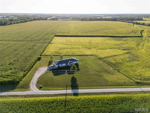 Tiny photo for 14075 Pike 45, Bowling Green, MO 63334 (MLS # 25059625)