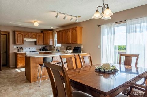 Tiny photo for 14075 Pike 45, Bowling Green, MO 63334 (MLS # 25059625)