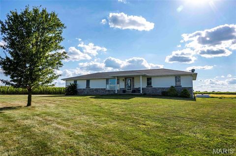 Tiny photo for 14075 Pike 45, Bowling Green, MO 63334 (MLS # 25059625)