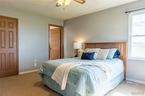 Tiny photo for 14075 Pike 45, Bowling Green, MO 63334 (MLS # 25059625)