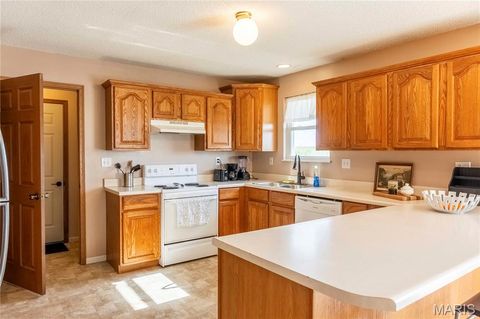 Tiny photo for 14075 Pike 45, Bowling Green, MO 63334 (MLS # 25059625)