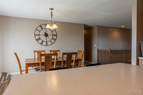 Tiny photo for 14075 Pike 45, Bowling Green, MO 63334 (MLS # 25059625)