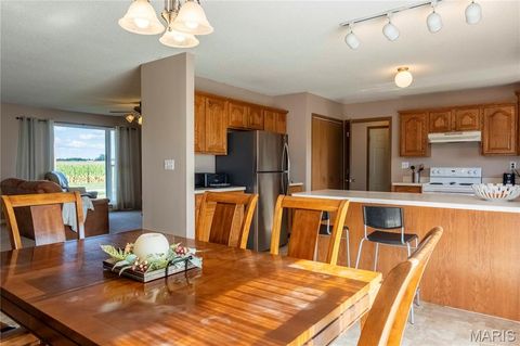 Tiny photo for 14075 Pike 45, Bowling Green, MO 63334 (MLS # 25059625)