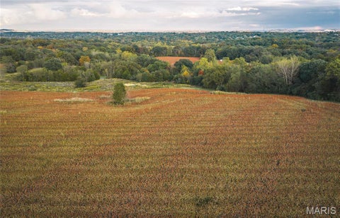 Tiny photo for 9988 Zion Lutheran Church Road RD, Hillsboro, MO 63050 (MLS # 26068507)