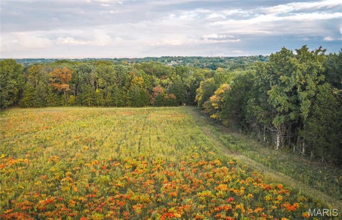 Tiny photo for 9988 Zion Lutheran Church Road RD, Hillsboro, MO 63050 (MLS # 26068507)