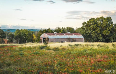 Tiny photo for 9988 Zion Lutheran Church Road RD, Hillsboro, MO 63050 (MLS # 26068507)