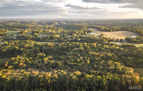 Tiny photo for 9988 Zion Lutheran Church Road RD, Hillsboro, MO 63050 (MLS # 26068507)