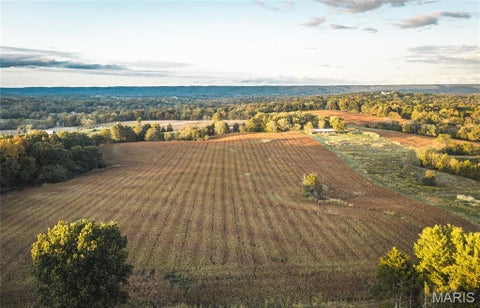 Tiny photo for 9988 Zion Lutheran Church Road RD, Hillsboro, MO 63050 (MLS # 26068507)