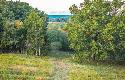 Tiny photo for 9988 Zion Lutheran Church Road RD, Hillsboro, MO 63050 (MLS # 26068507)