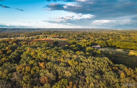 Tiny photo for 9988 Zion Lutheran Church Road RD, Hillsboro, MO 63050 (MLS # 26068507)