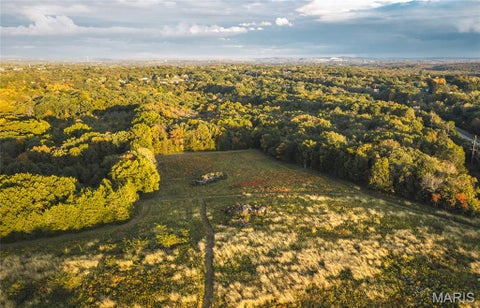 Tiny photo for 9988 Zion Lutheran Church Road RD, Hillsboro, MO 63050 (MLS # 26068507)