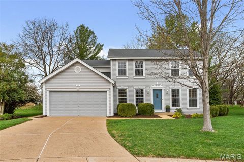 Photo of 231 Maeve Court, Ballwin, MO 63021 (MLS # 26007856)