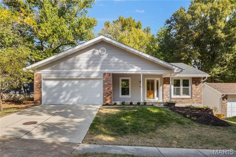 Photo of 505 Treetop Village Drive, Ballwin, MO 63021 (MLS # 25070193)