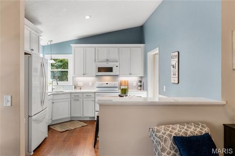 Tiny photo for 505 Treetop Village Drive, Ballwin, MO 63021 (MLS # 25070193)