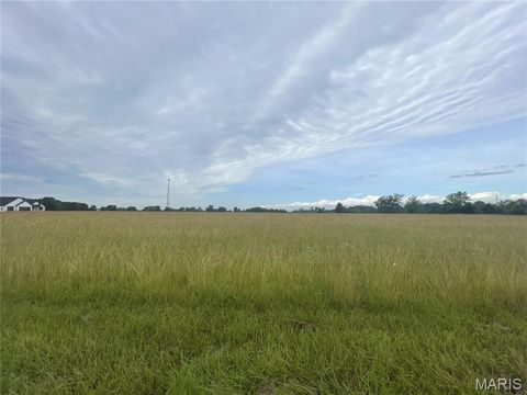 Photo of 0 Cheatham Road, Troy, MO 63379 (MLS # 25042292)