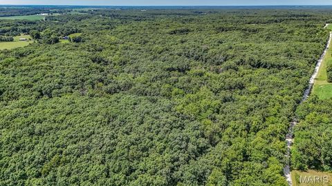 Tiny photo for 0 Truxton Church Rd, Other, MO 63381 (MLS # 25056366)