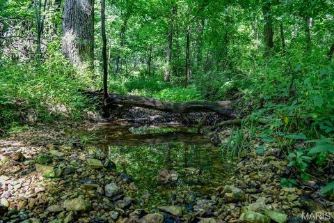 Tiny photo for 0 Truxton Church Rd, Other, MO 63381 (MLS # 25056366)