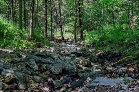 Tiny photo for 0 Truxton Church Rd, Other, MO 63381 (MLS # 25056366)