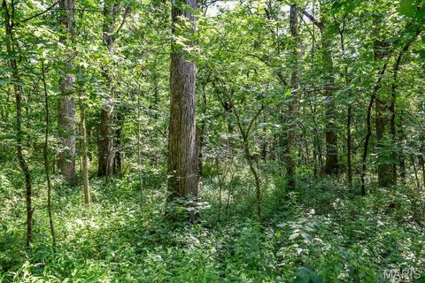 Tiny photo for 0 Truxton Church Rd, Other, MO 63381 (MLS # 25056366)