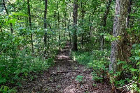 Tiny photo for 0 Truxton Church Rd, Other, MO 63381 (MLS # 25056366)