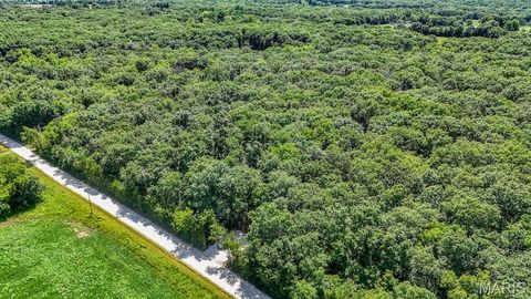 Tiny photo for 0 Truxton Church Rd, Other, MO 63381 (MLS # 25056366)