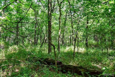 Tiny photo for 0 Truxton Church Rd, Other, MO 63381 (MLS # 25056366)
