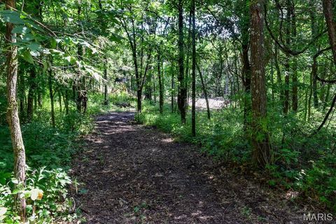 Tiny photo for 0 Truxton Church Rd, Other, MO 63381 (MLS # 25056366)