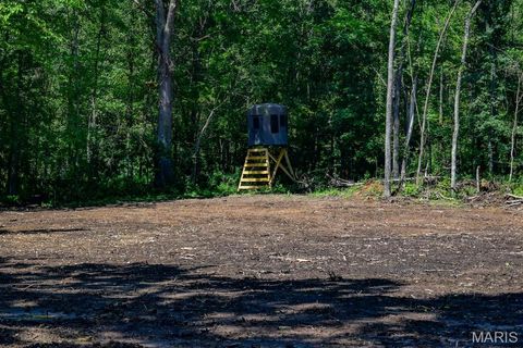 Tiny photo for 0 Truxton Church Rd, Other, MO 63381 (MLS # 25056366)